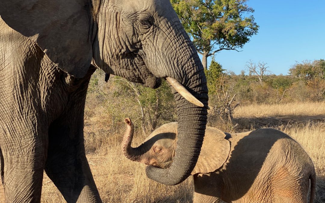 kumbura-and-khanyisa-11-june–1080×675