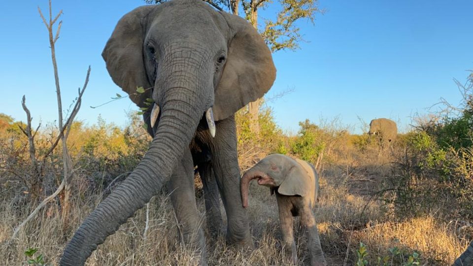 Kumbura-and-Khanyisa-PHOTO-2020-05-29-19-01-16-960×540-1