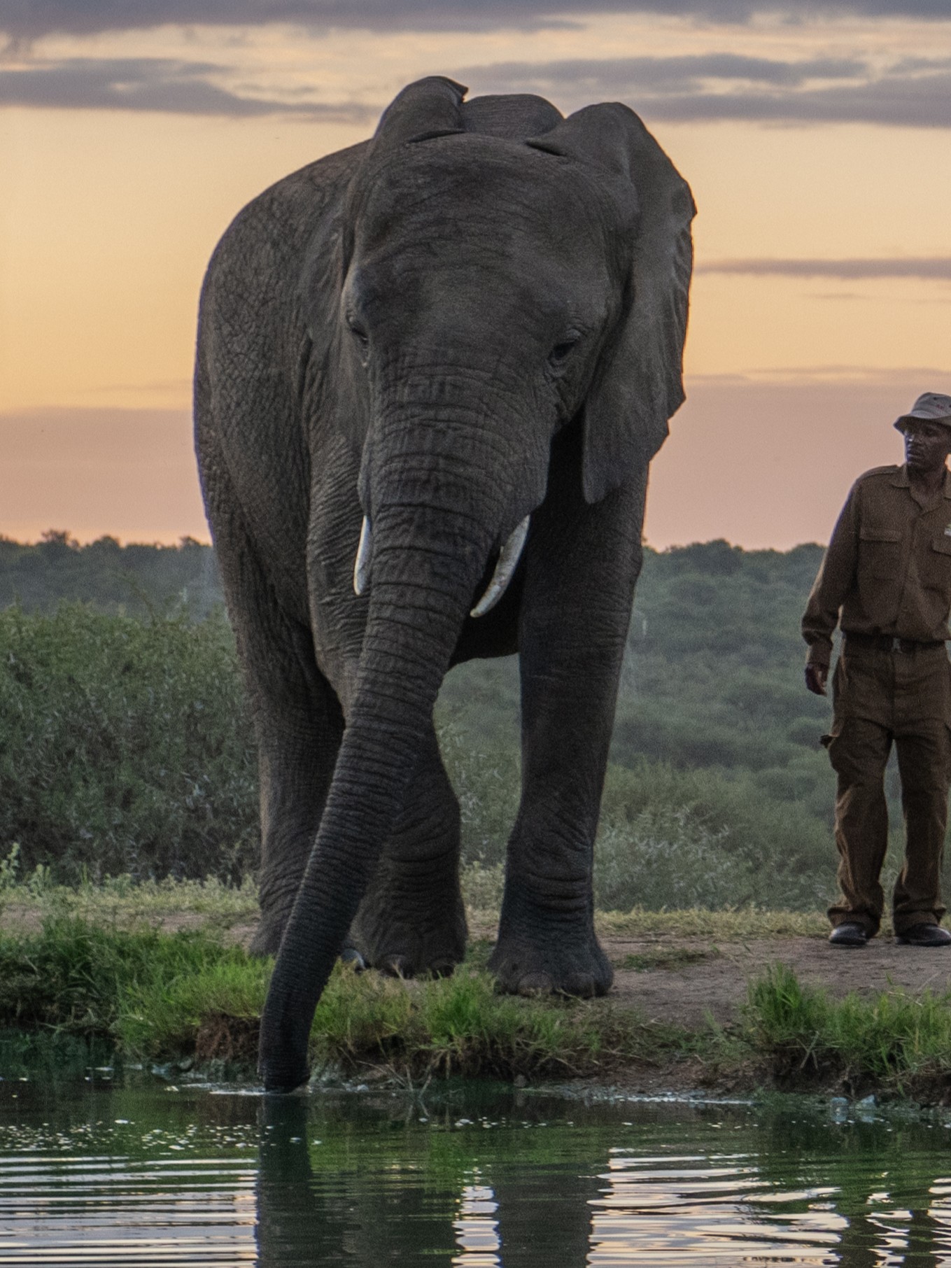 Limpopo 5