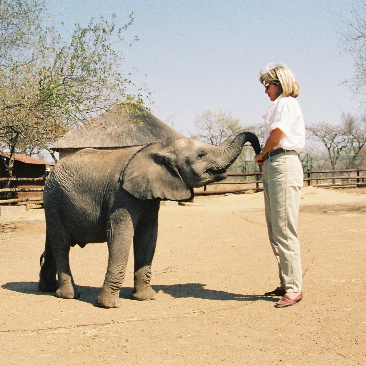 1997 Jabulani Rescue