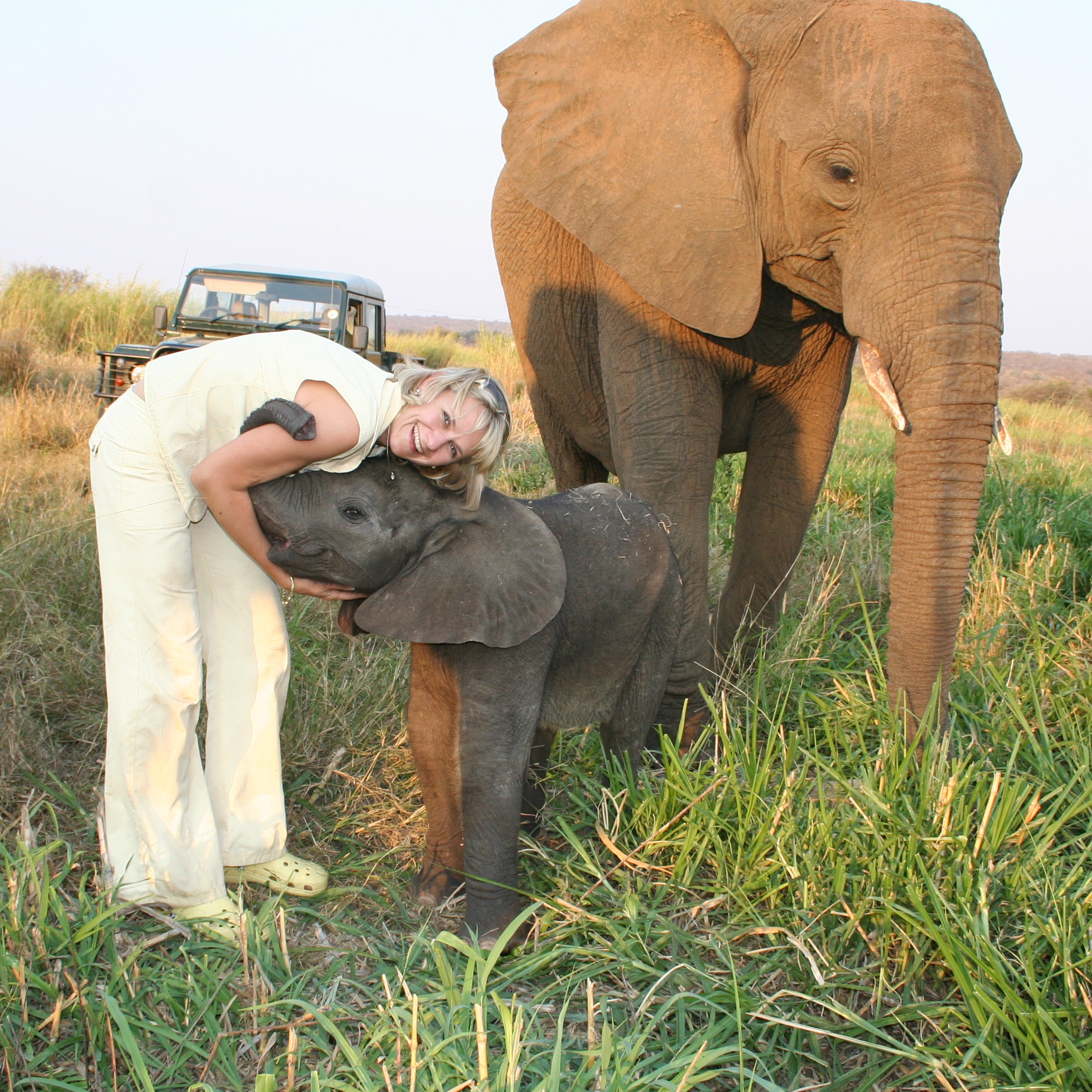 2006 Limpopo