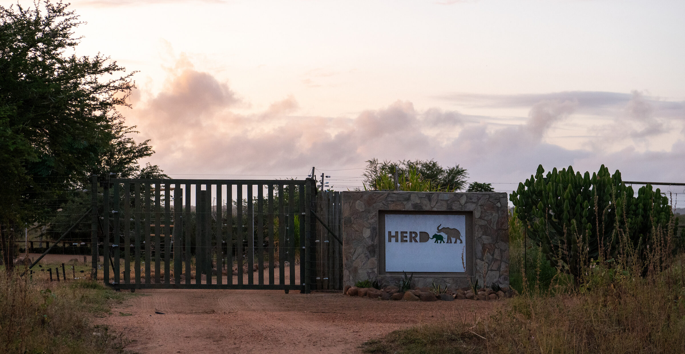 HERD_Entrance