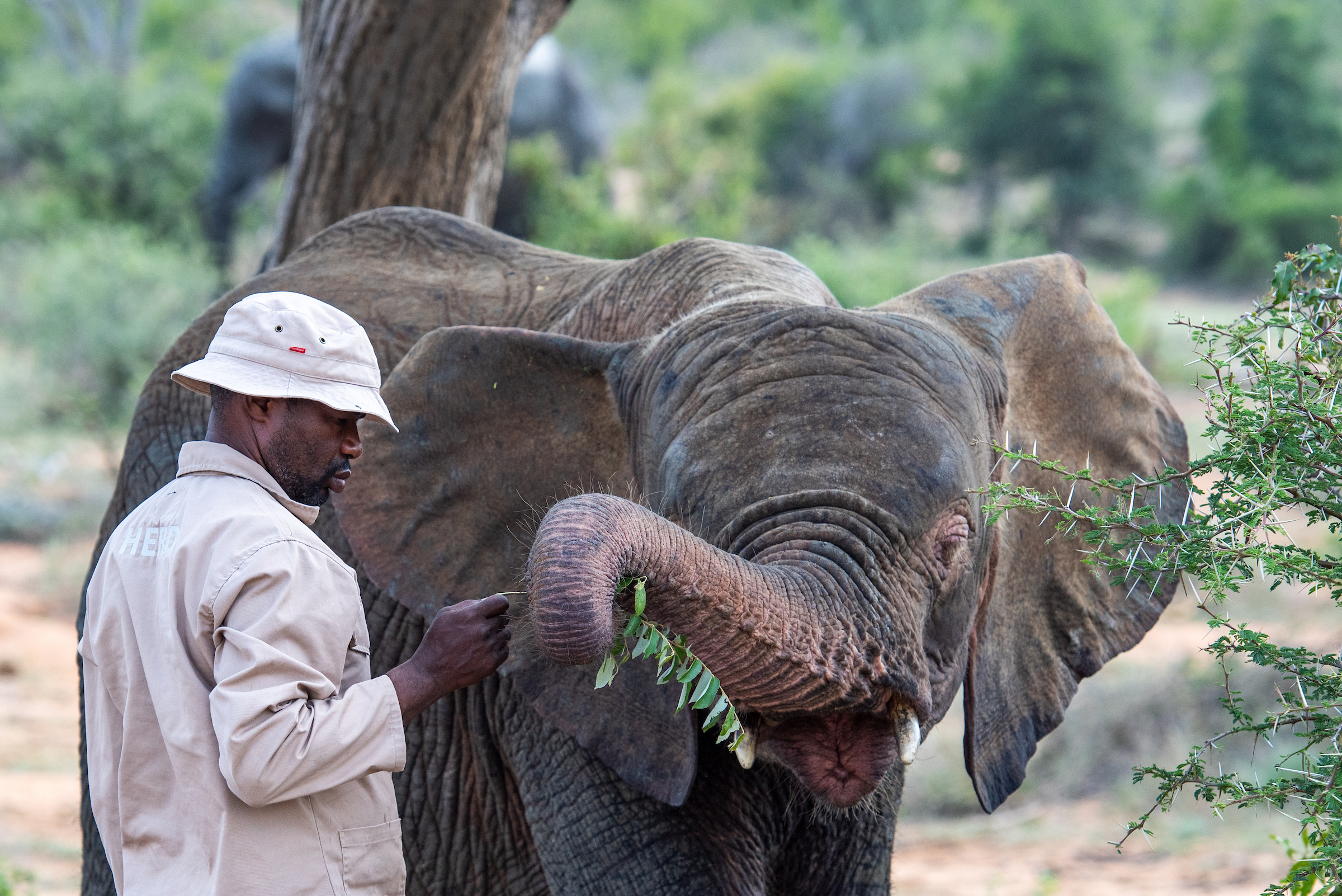 Khanyisa_159DSC_8457