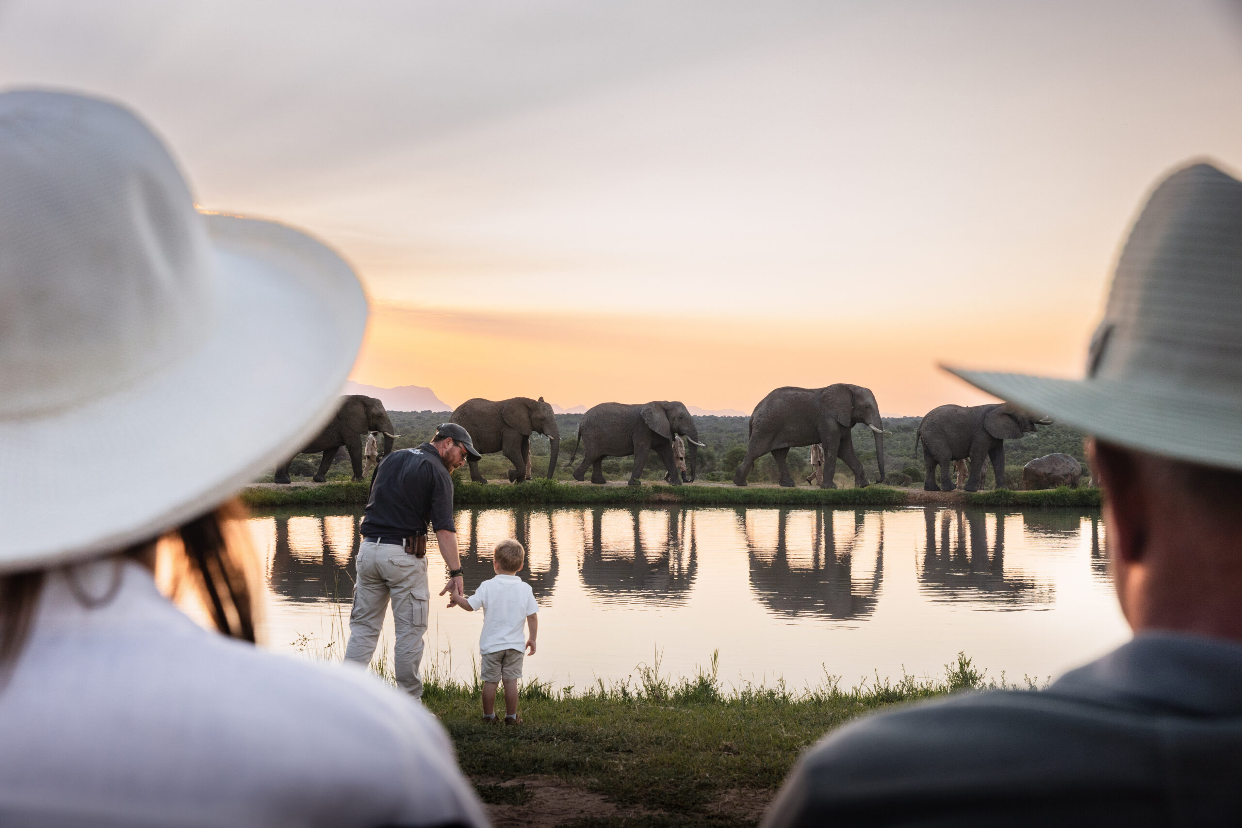 Jabulani_Sundowners_ElephantHerd_2 (1) (1)